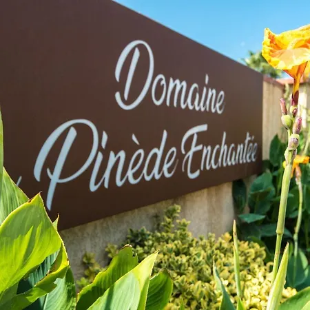 Domaine La Pinède Enchantée 4*